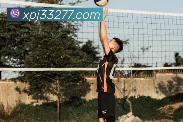 新葡京在线网址发展历程